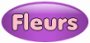 fleurs 2